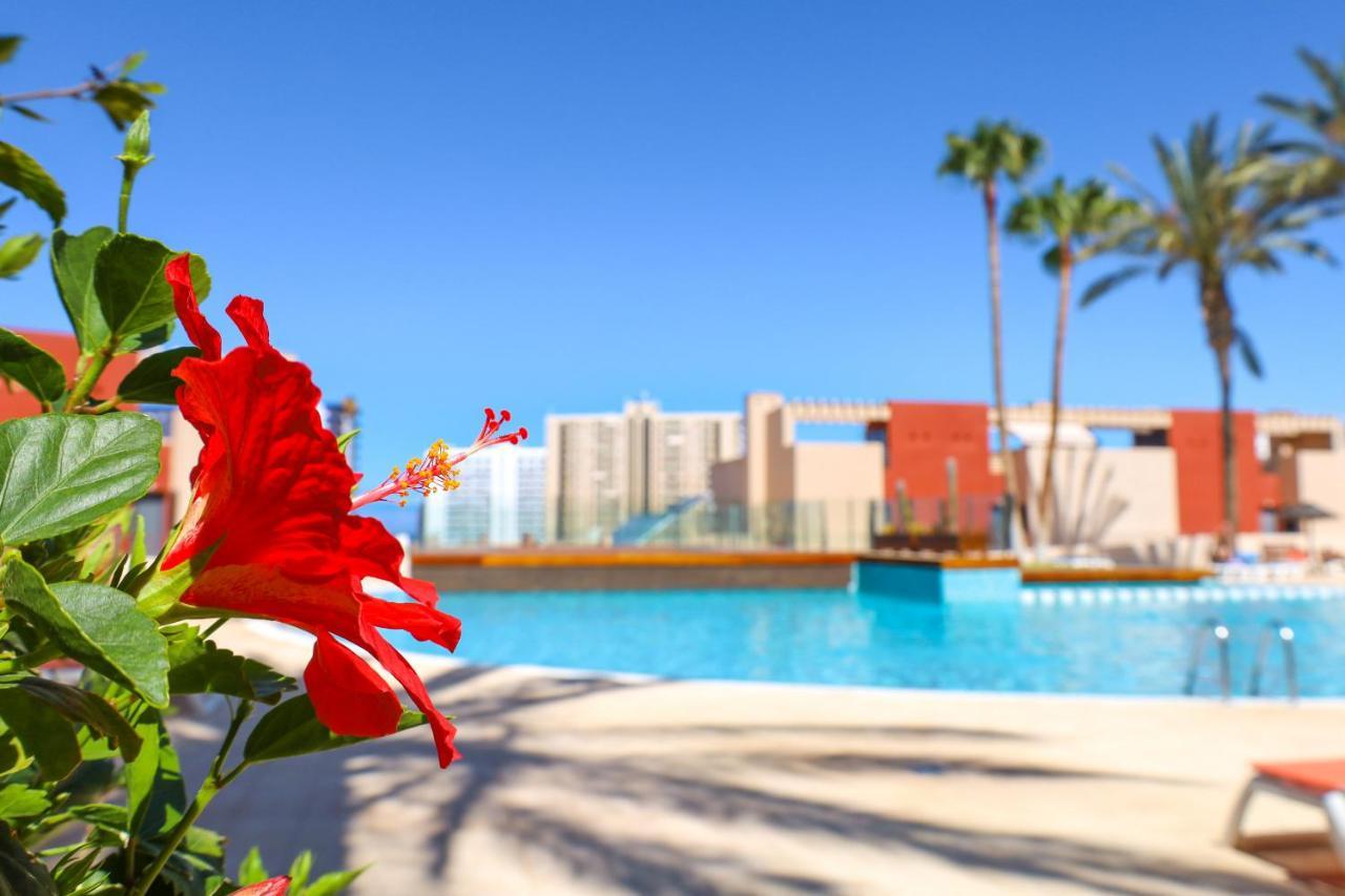 Gorgeous Paraiso Free Wifi Playa Paraiso  Εξωτερικό φωτογραφία